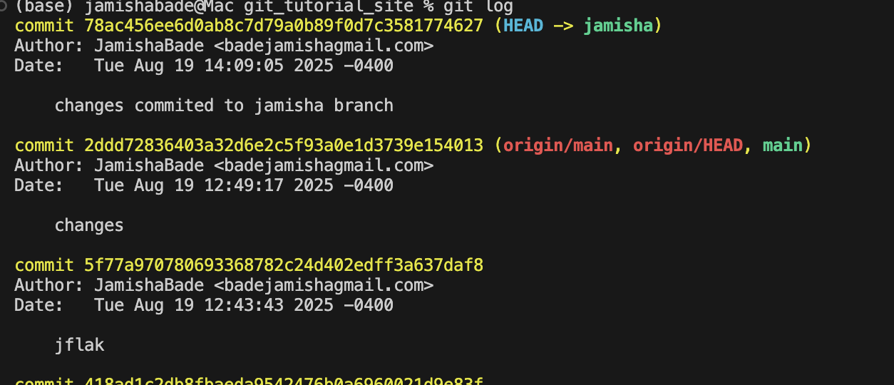 Git Workflow