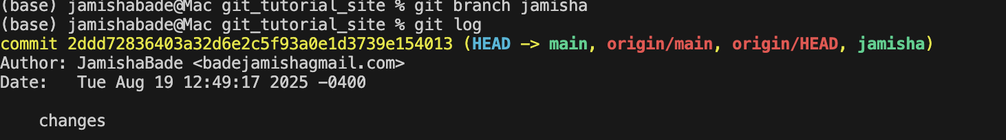Git Workflow