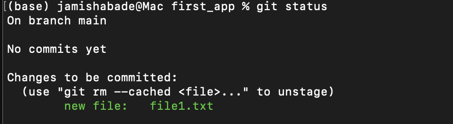 Git Workflow