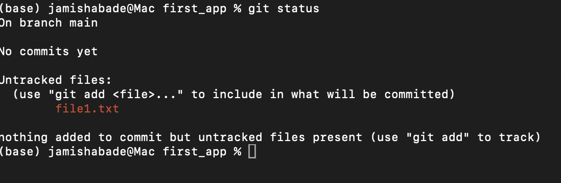 Git Workflow